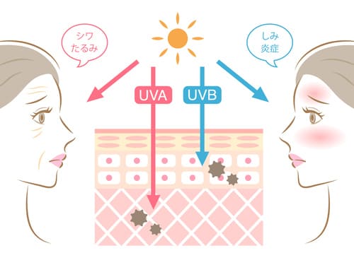 紫外線を浴びた肌のイメージ